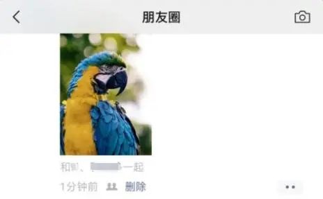 Hot search first! Wechat has added new functions